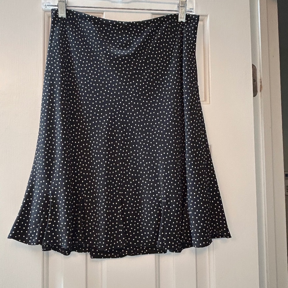Ann Taylor Loft Silk Skirt